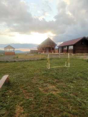 Cabana Poienita